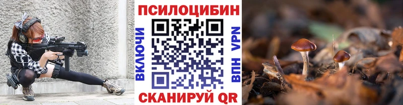 Псилоцибиновые грибы Psilocybe  Покровск 